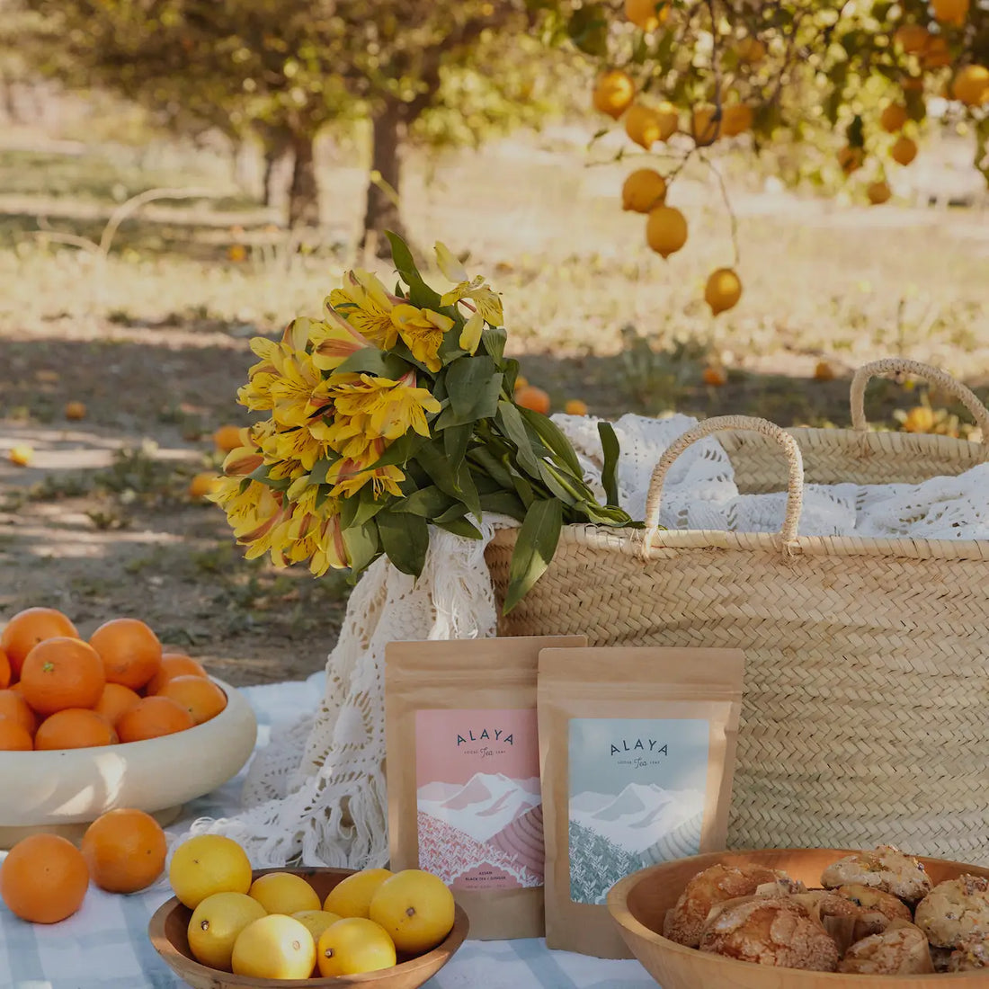 Alaya Tea -