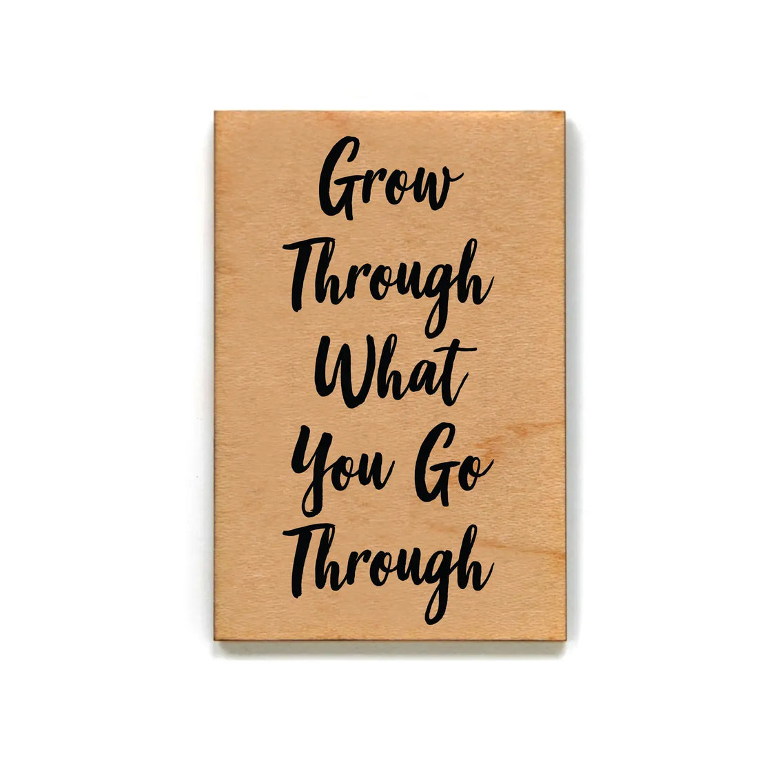 Driftless Studios - Magnet - Grow Through What You Go Through - XM035