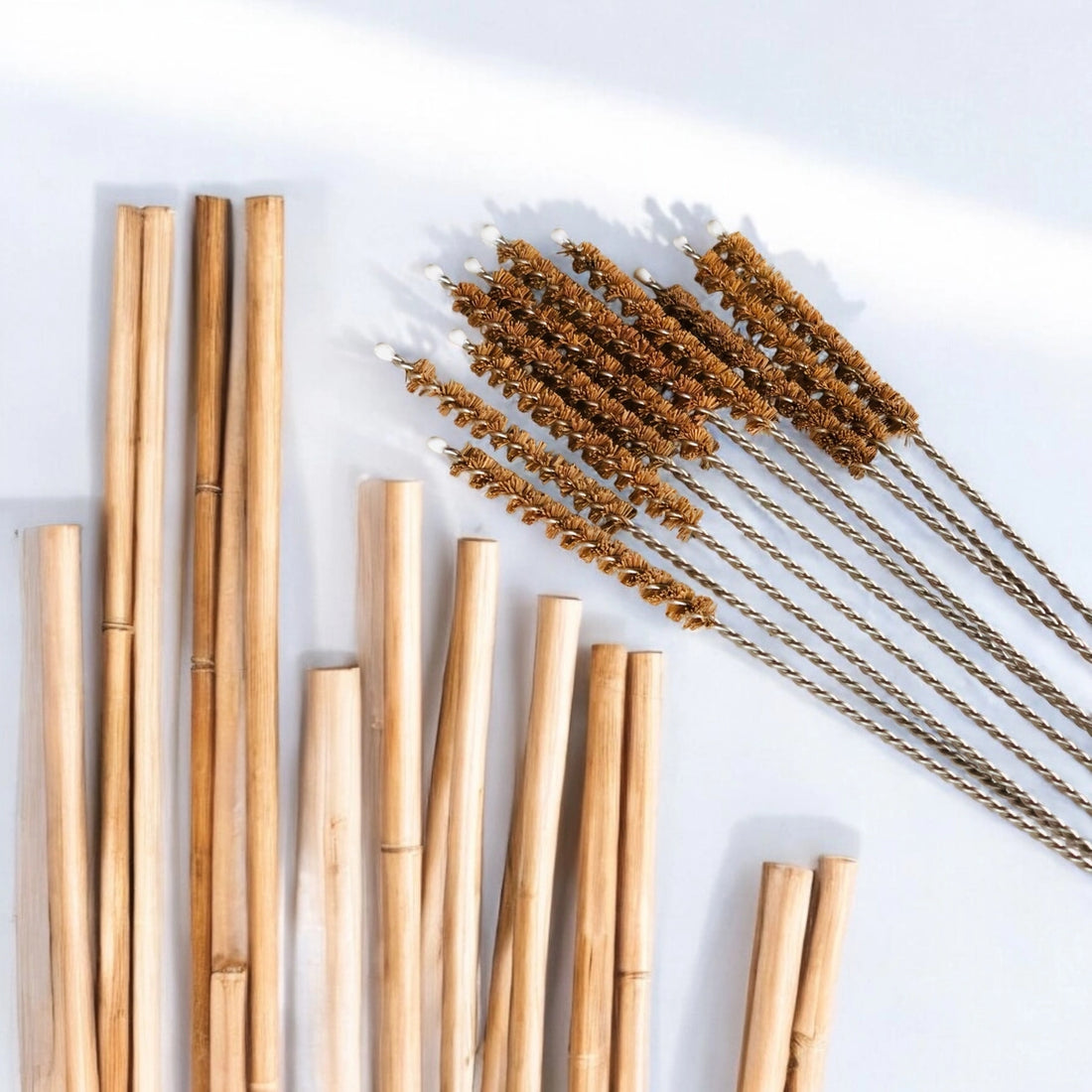 Bamboo Switch - Coconut Fiber Plastic Free Straw Cleaner